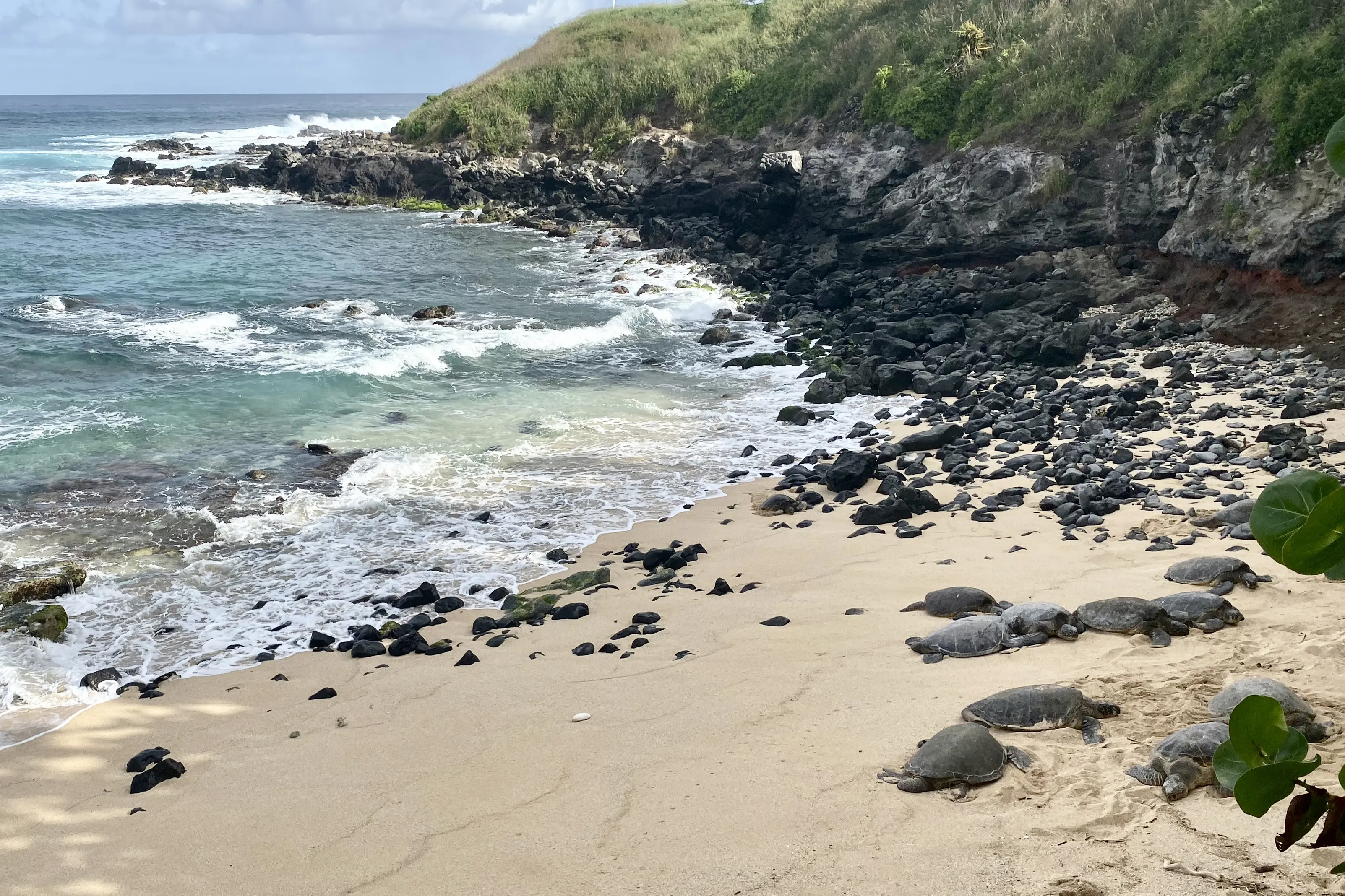 5 Unexpected Tips for Planning an Epic Maui Vacation