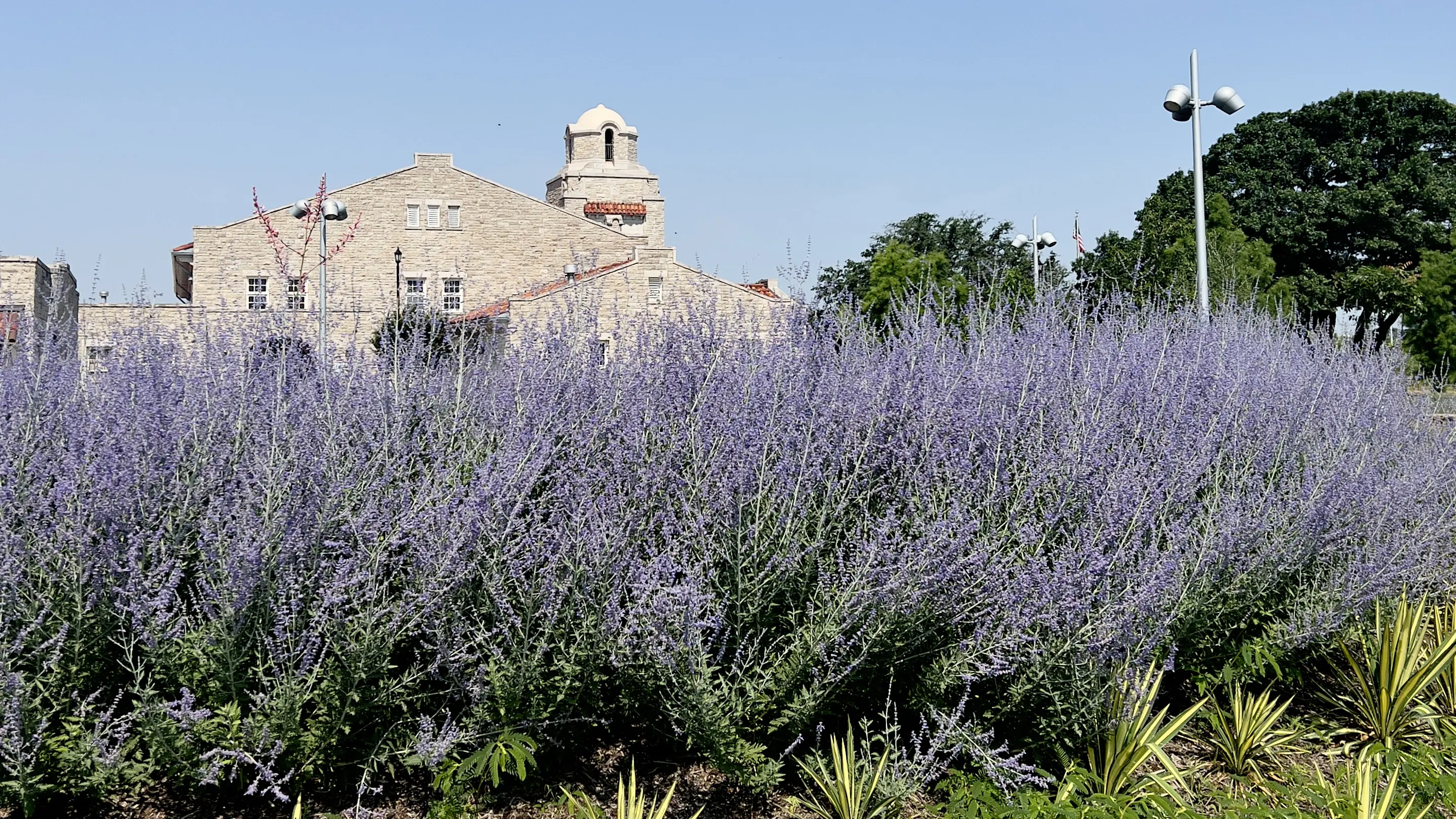9+ Must-See Attractions You’ll Love on a Family Trip to Oklahoma City {2024}