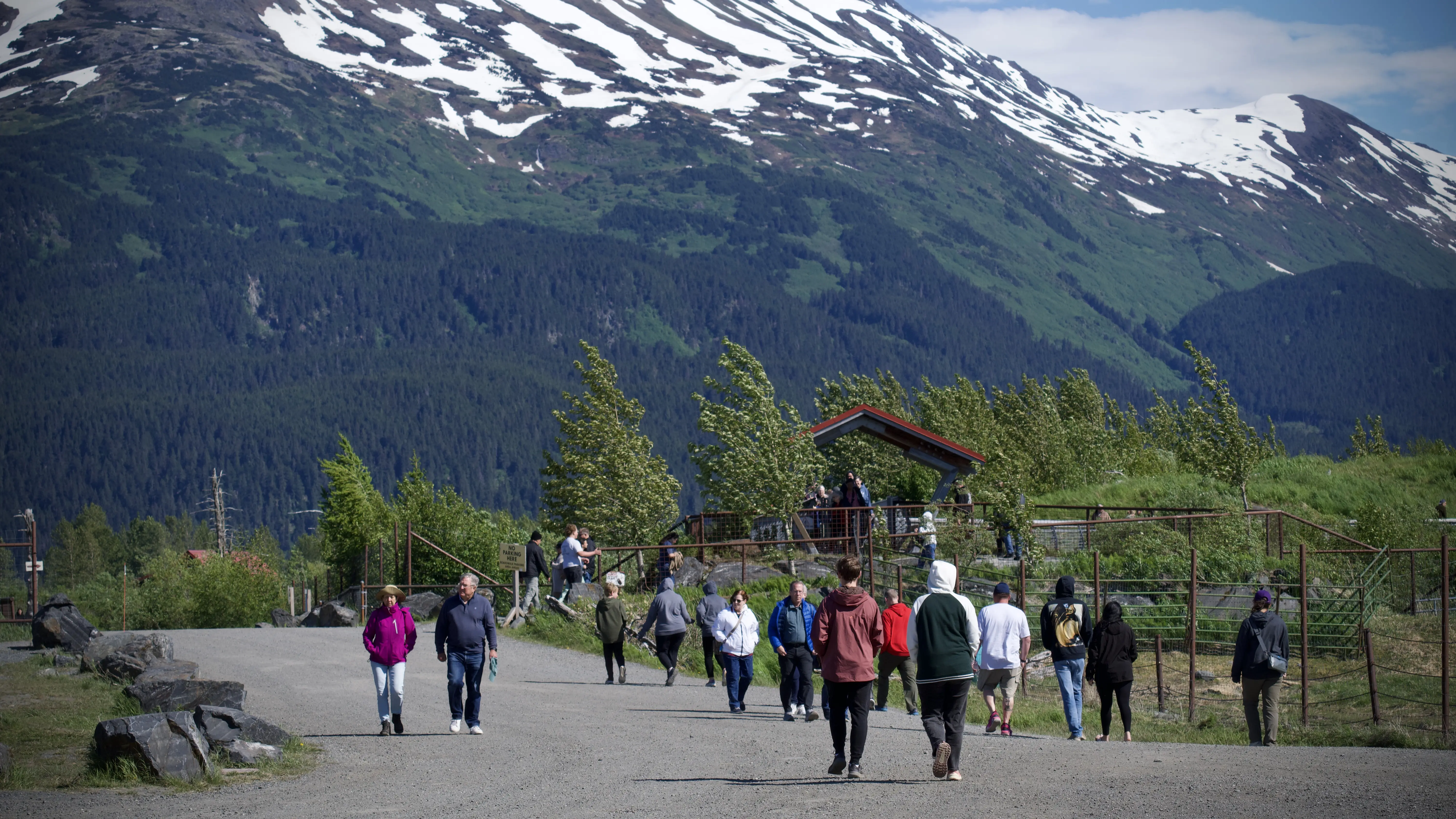 Alaska Wildlife Conservation Center: Is It Worth a Visit?