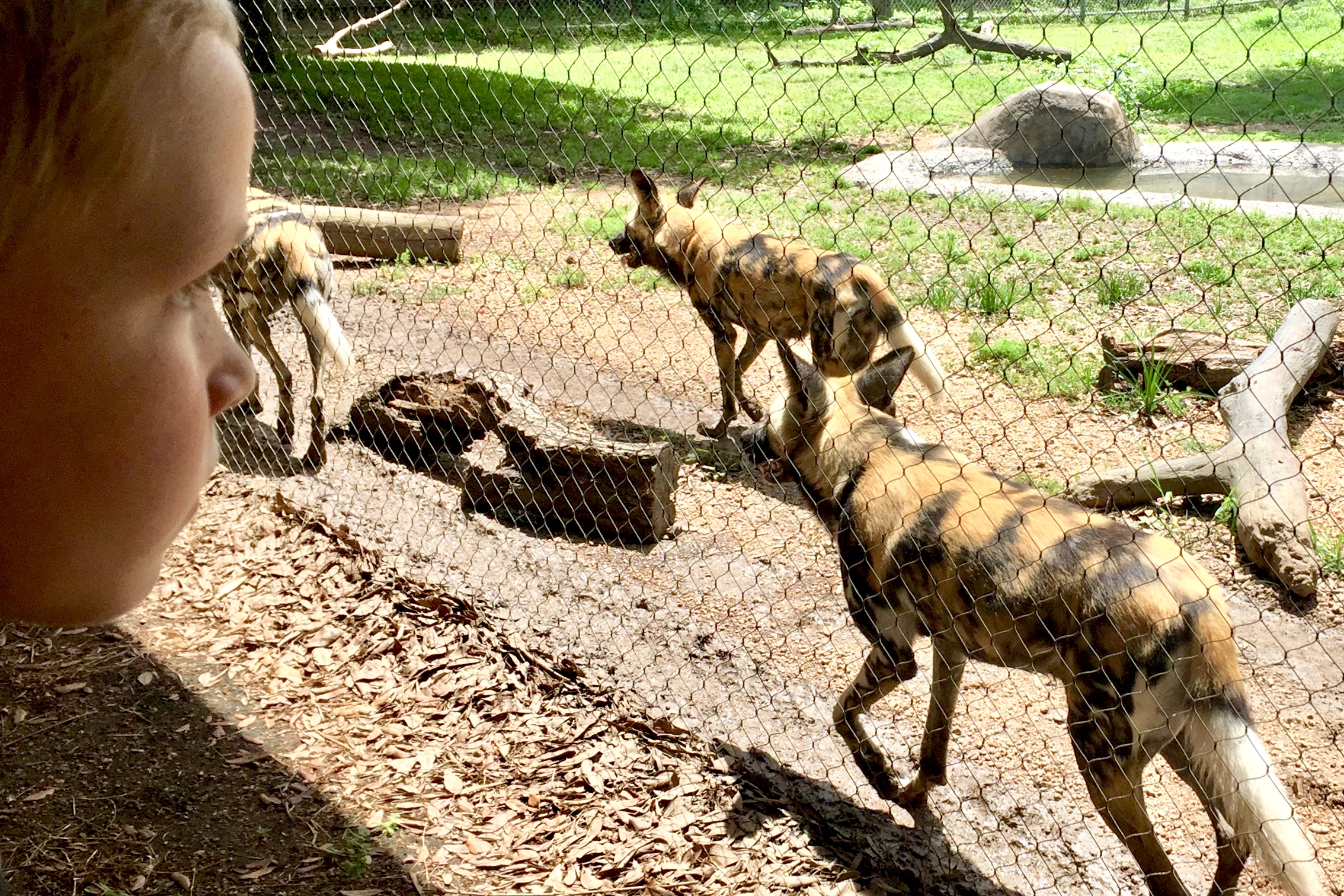 Museum Memberships: How to Save Money on Family Travel (2025)