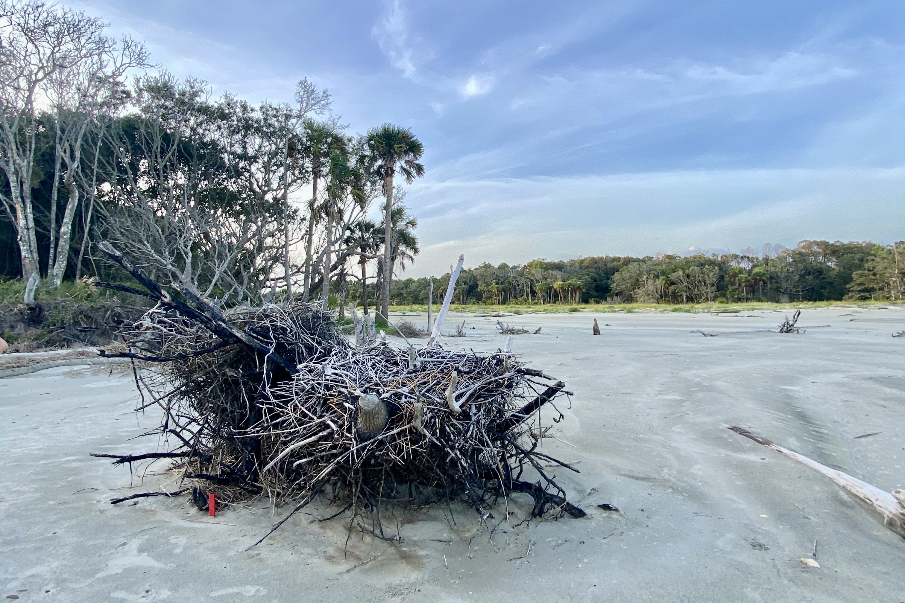 Isle of Palms by Boat: The Best Charleston Tour to Book Now