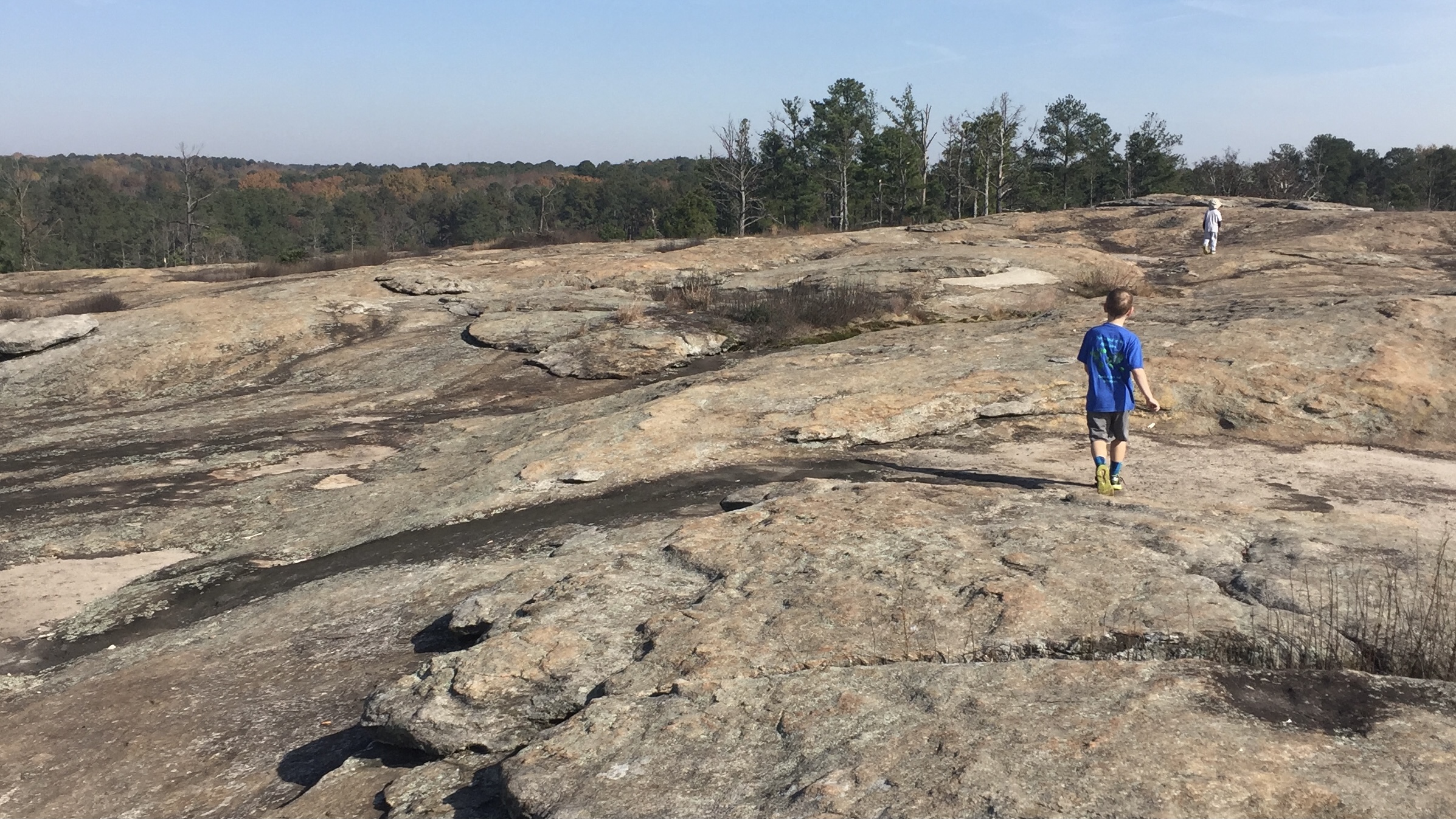 Georgia’s Arabia Mountain: The Ultimate Guide to a Favorite Local Hike