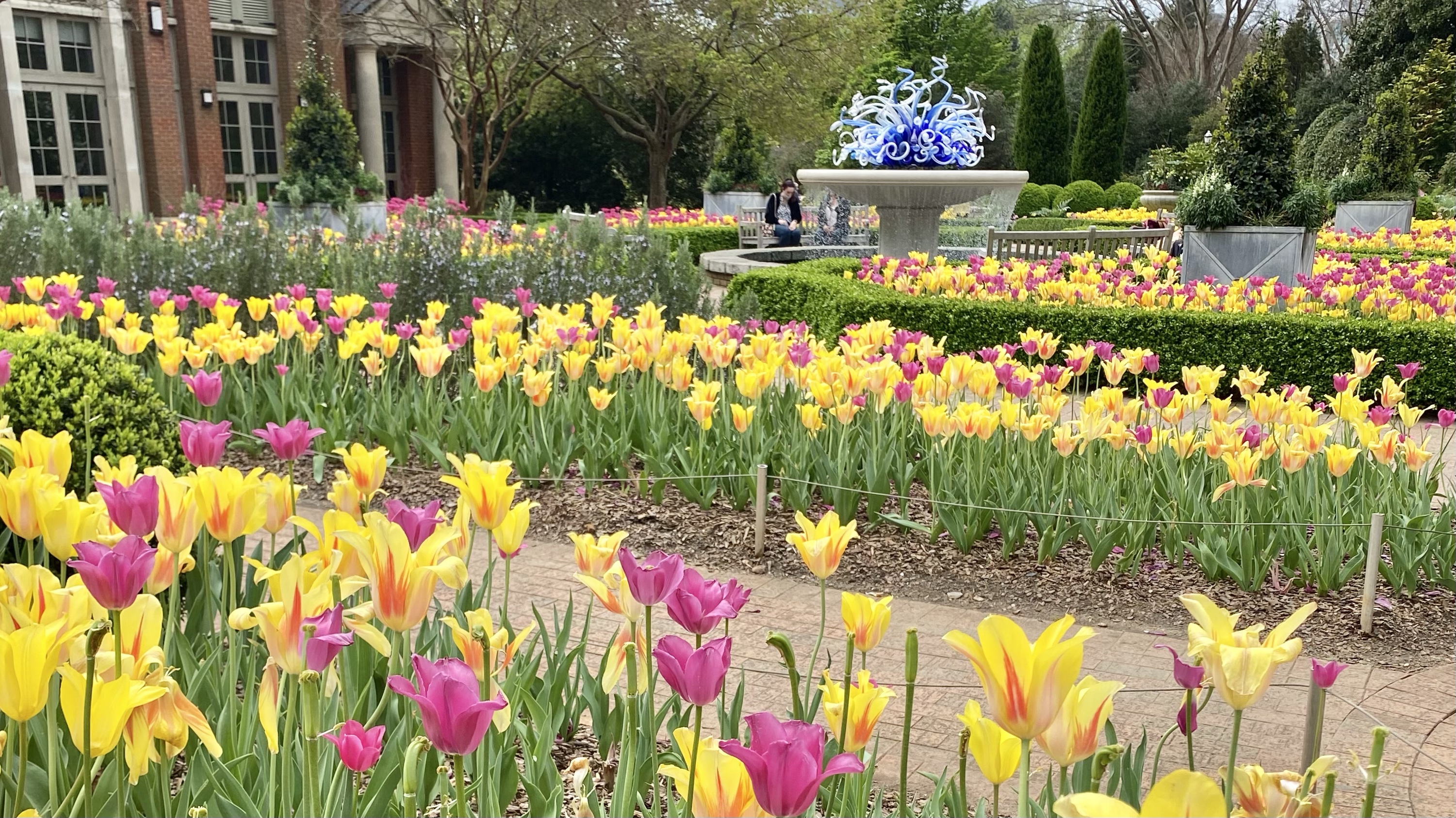 The Atlanta Botanical Garden: How to Make the Most of Your Visit