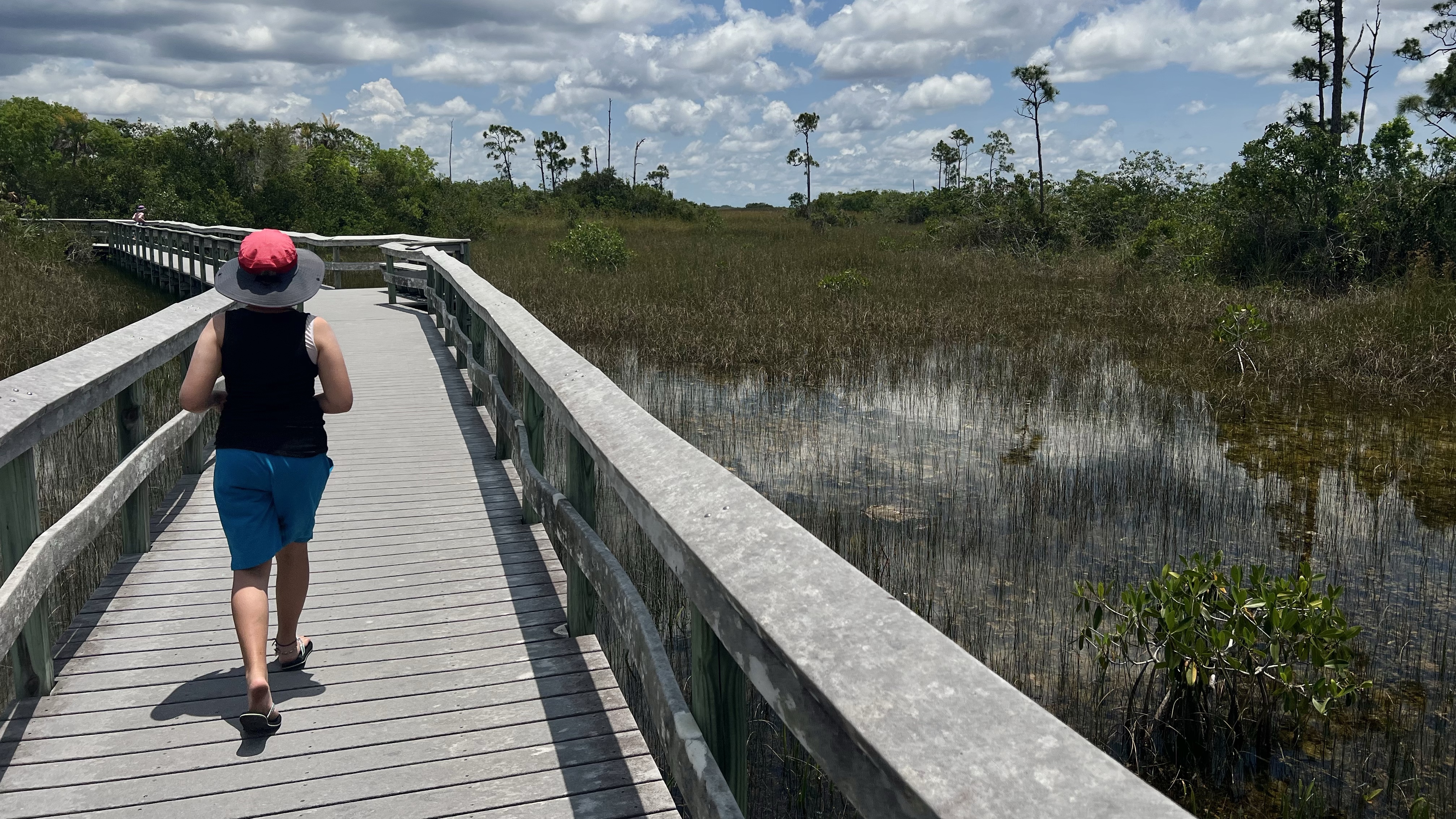 The Everglades: How to Plan an Epic Florida Trip
