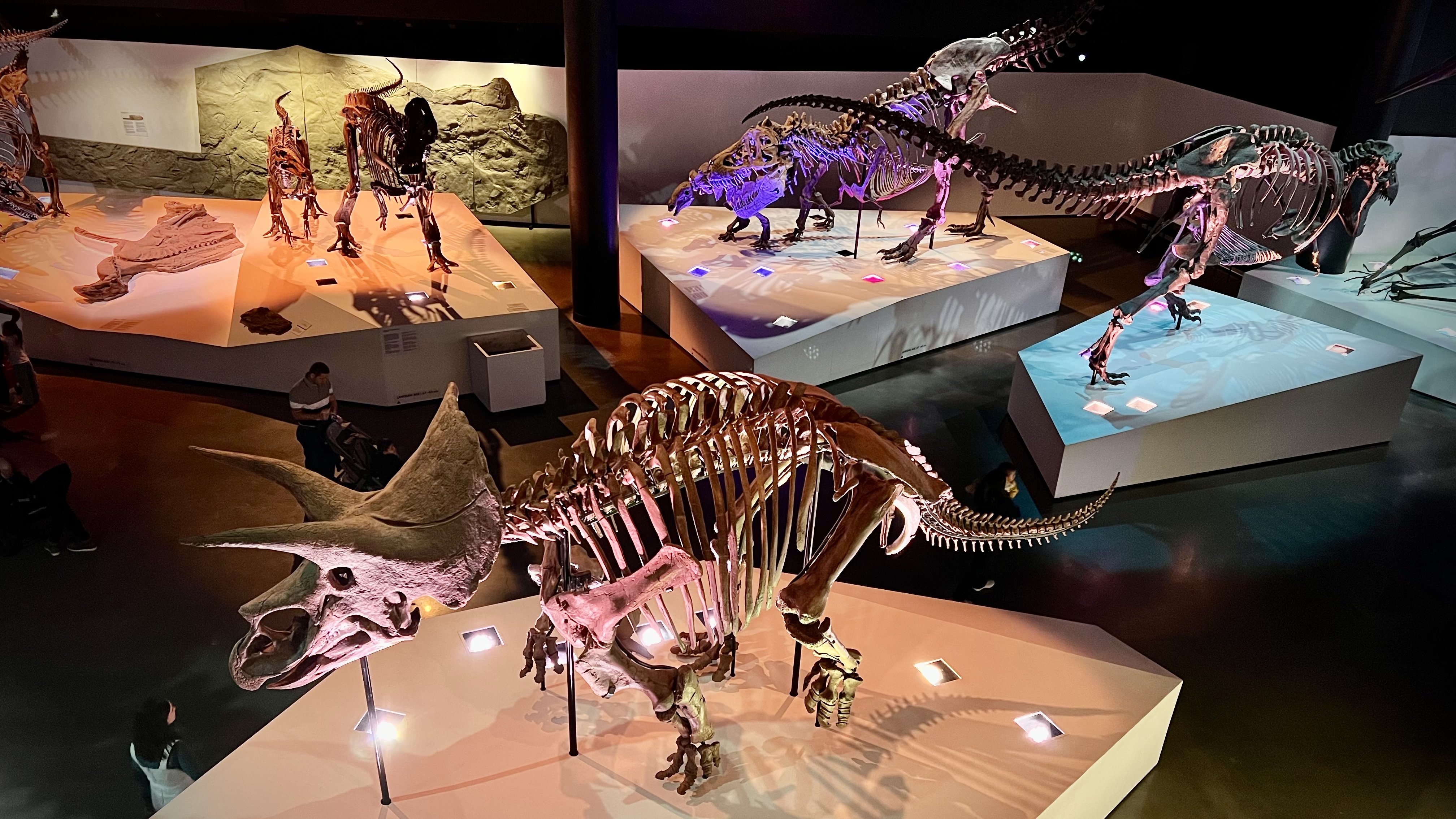 Houston Science Museum: How to Plan an Epic HMNS Trip