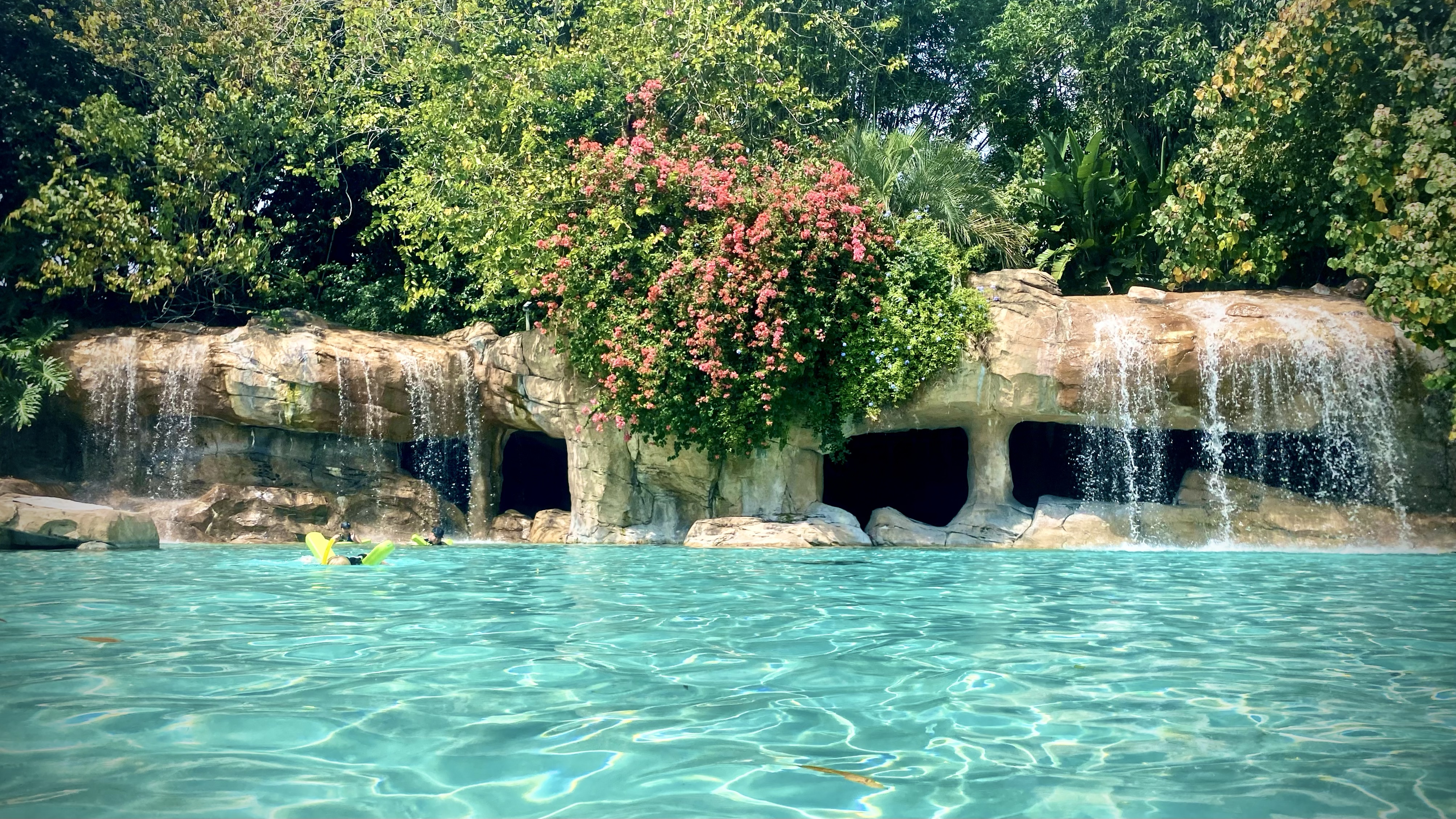 Discovery Cove 101: How to Plan This Epic SeaWorld Adventure