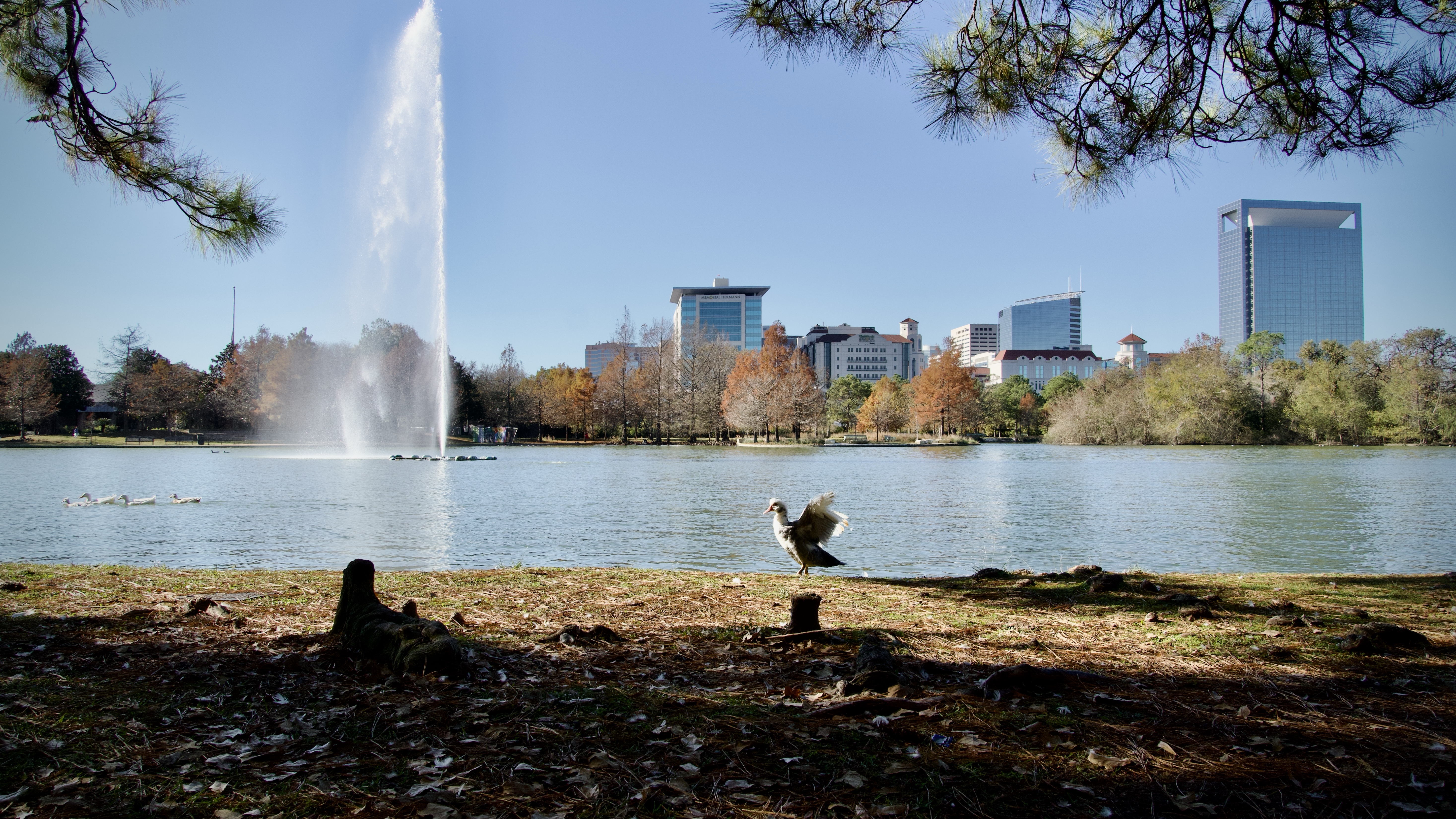 How to Visit the Houston Museum District – 10 Best Places to See