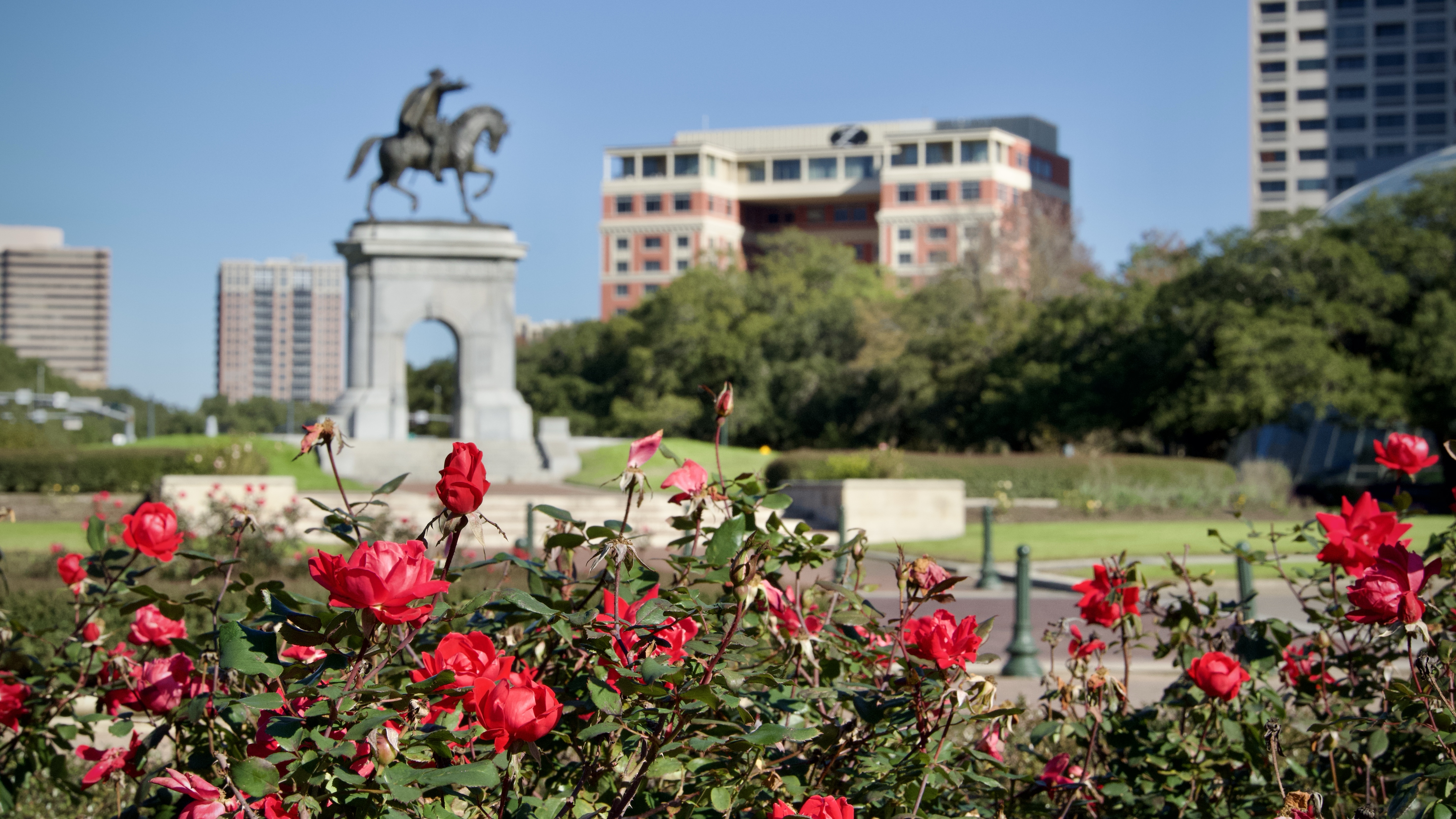 Houston Museum District: How to Explore for Free